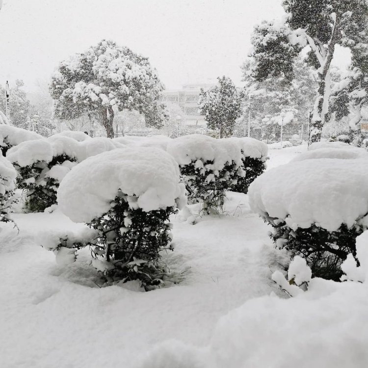 Ήρθε άσπρη μέρα και για μας - greece - snow - white - athens - winter ( 1080 X 1080 ).jpg