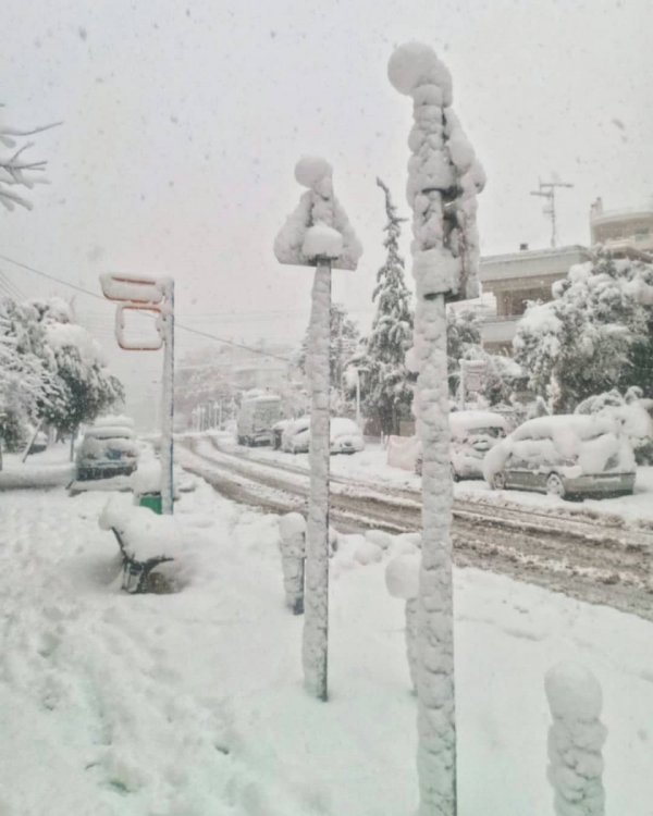 Subpost 5 - Snow in Athens! The heaviest snowfall in the past 15 years... Camera ( 1350 X 1080 ).jpg