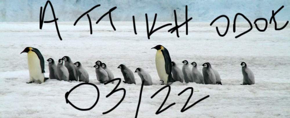 emperor-penguins-antartica-1600px.jpg