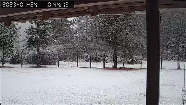 34126760_2023_01_24_10_44_44.jpg