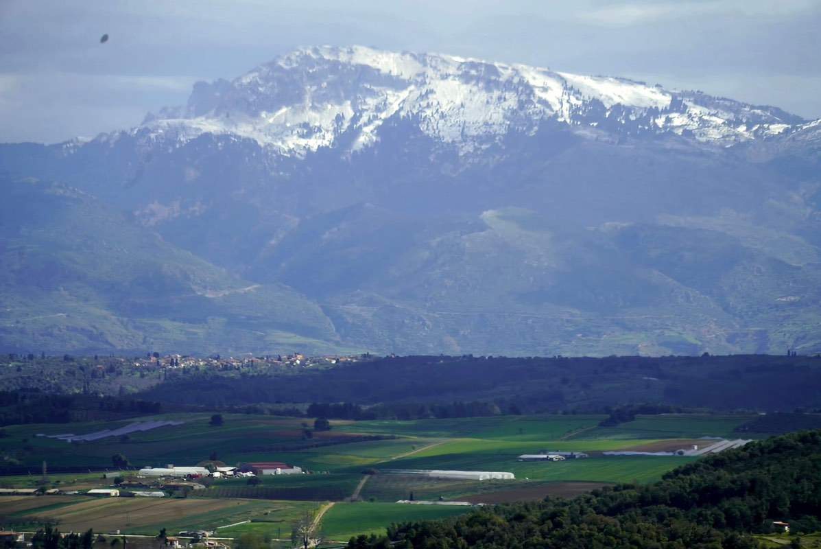 AD971177-5118-4AD3-A767-DE99F652DC5C.jpeg