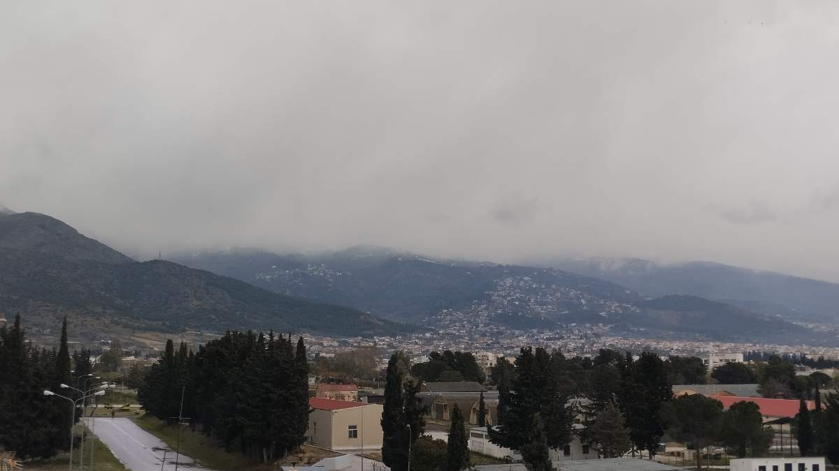 IMG_20240129_154647.jpg