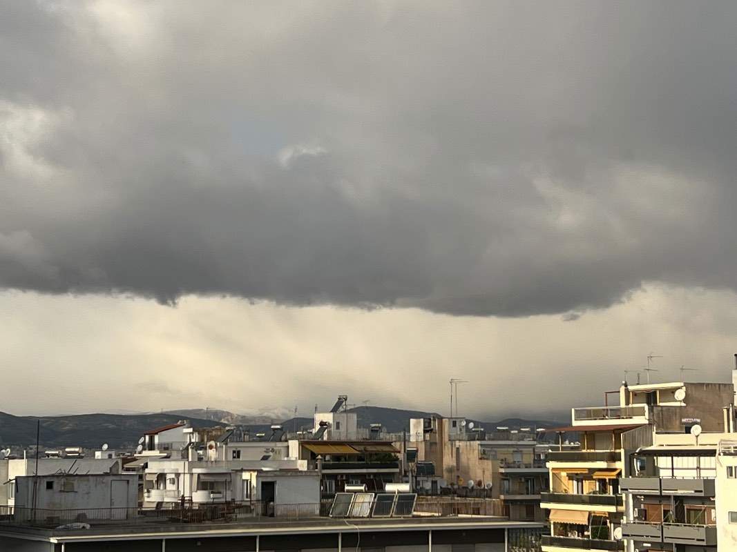 IMG_8227.jpeg