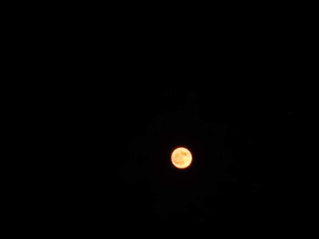 IMG_20240621_213805_1.jpg