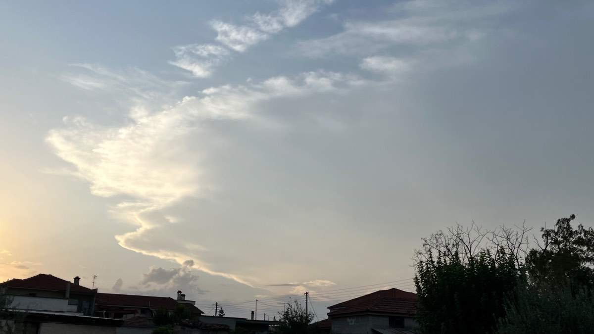 IMG_6849.jpeg.b82eda033f3f516986bf46382908baa0.jpeg