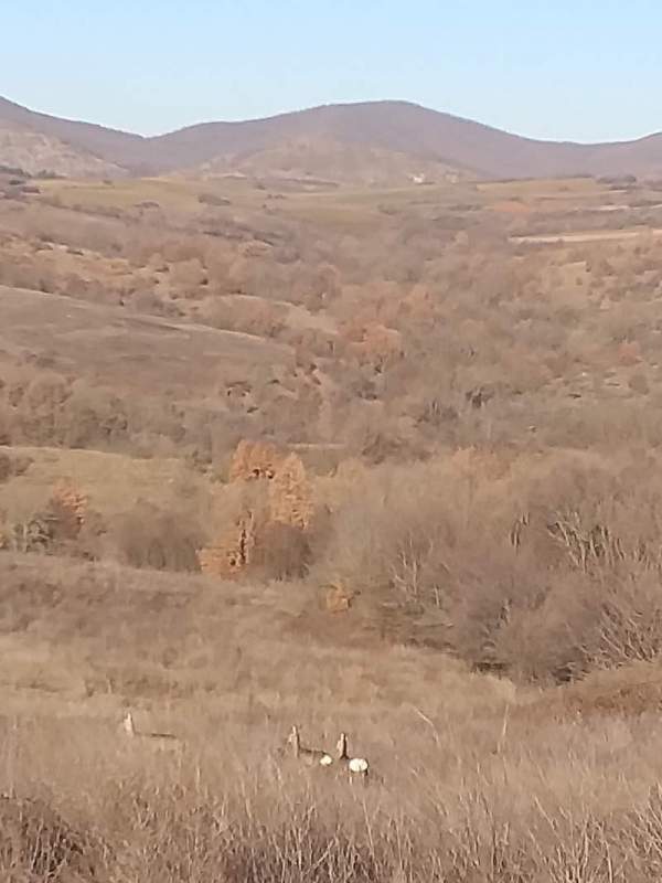 20250101_095750.jpg