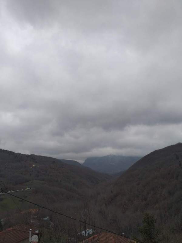 20250205_102852.jpg