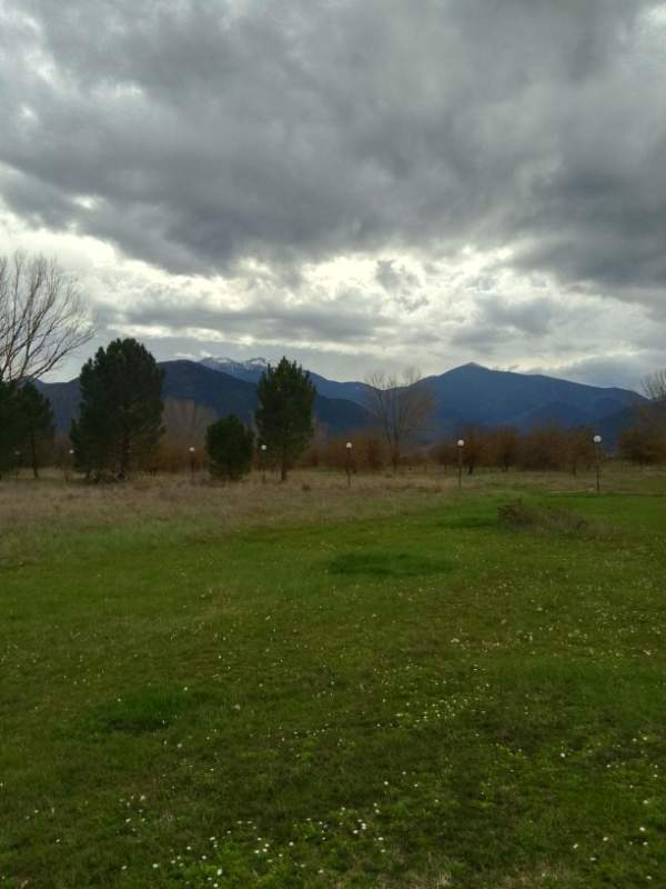 IMG_20250302_160101_HDR.jpg