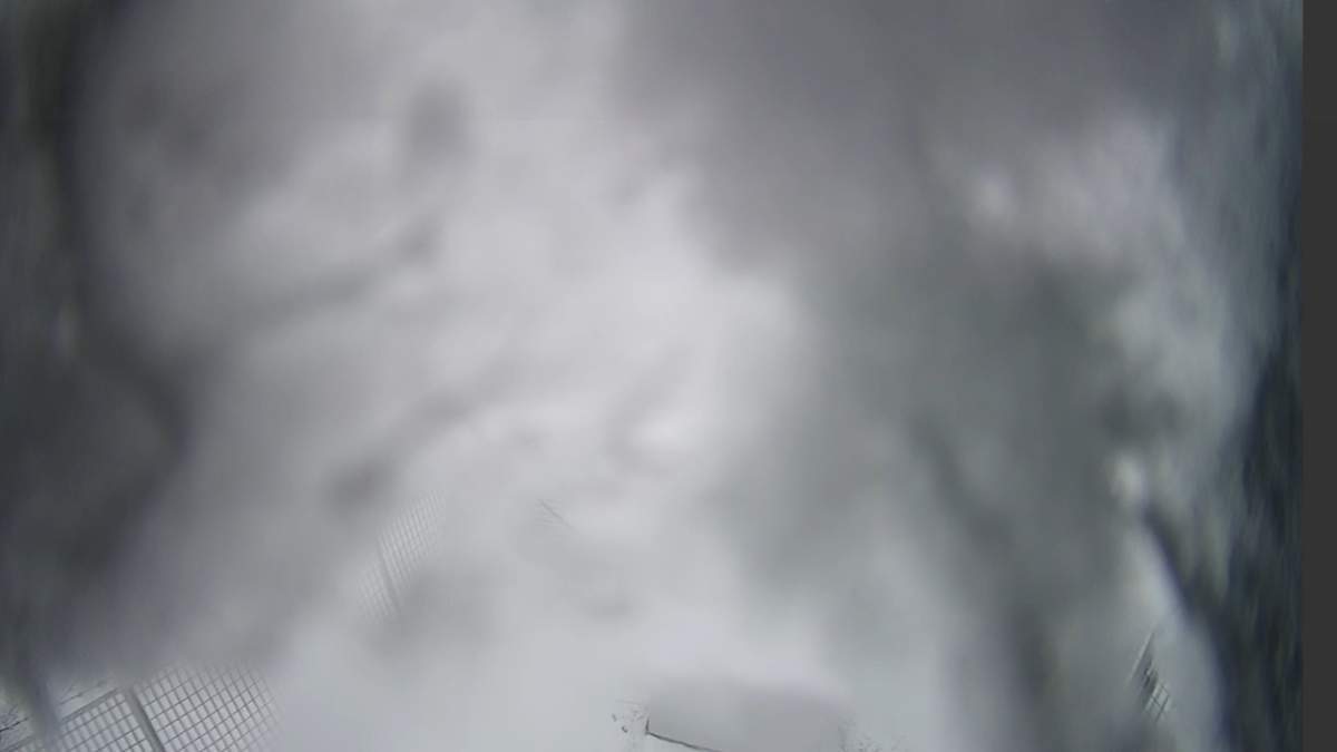IMG_20250319_072832.jpg