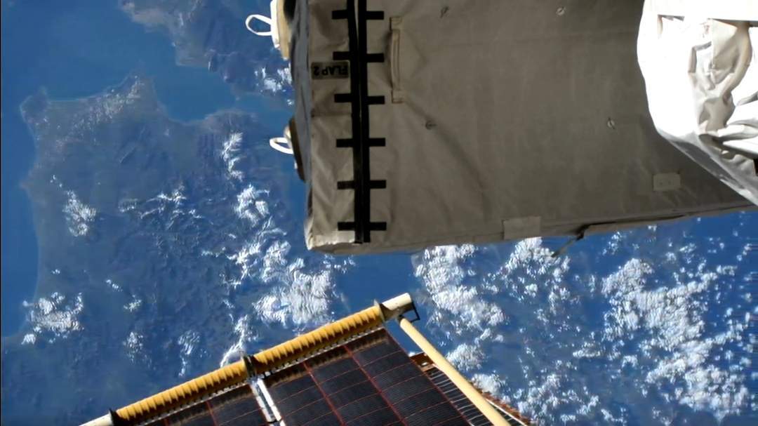 ISS_LIVE_NOW-20250319_051809.jpg.7a2d9b0c6a2e732a7dbc9125db6707c9.jpg