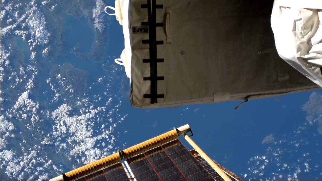 ISS_LIVE_NOW-20250319_051833.jpg.6593900d235f141121807385d6fd2dc6.jpg