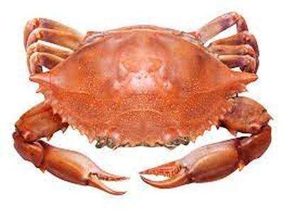 crab.jpg