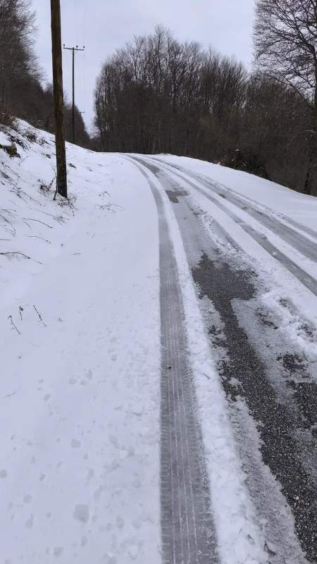 img_2_1744315507747.jpg