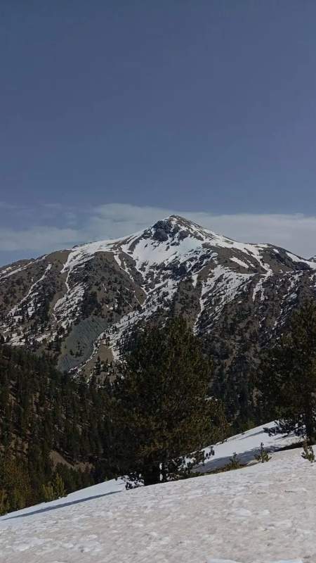 img_3_1745062960554.jpg