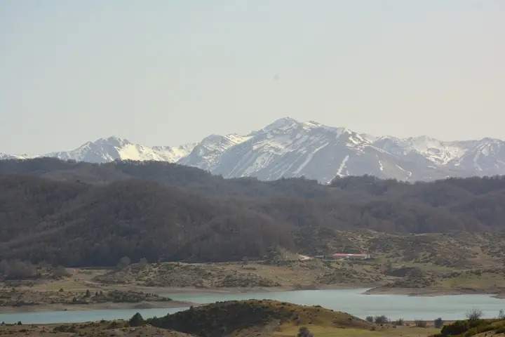 img_8_1744691655154.jpg