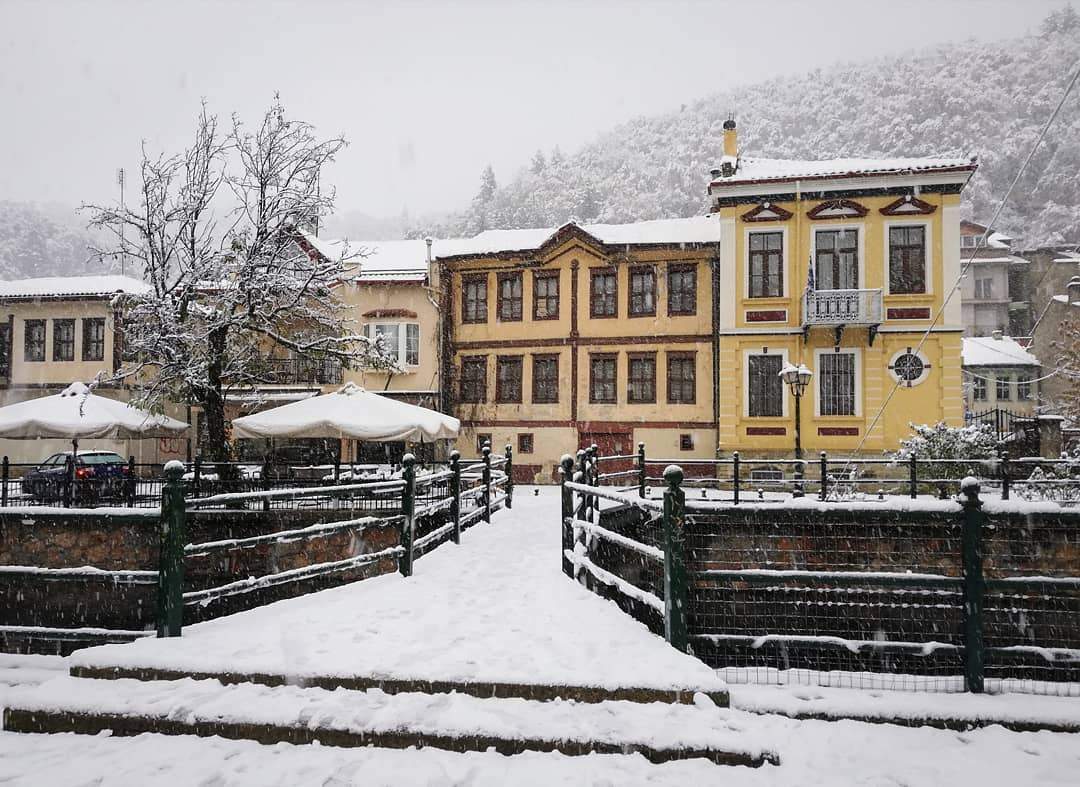 florina-roza-xionia.jpg