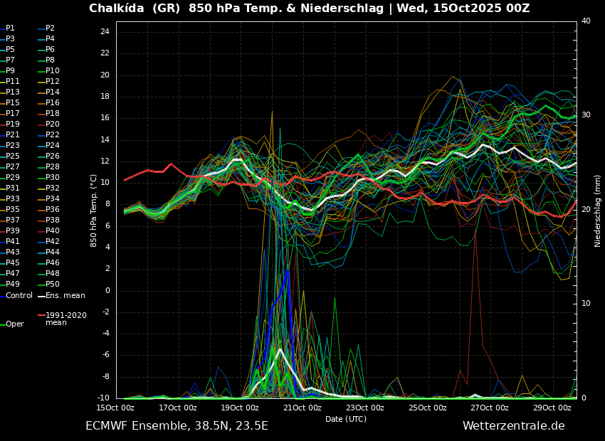 ens_image (1) (24).png