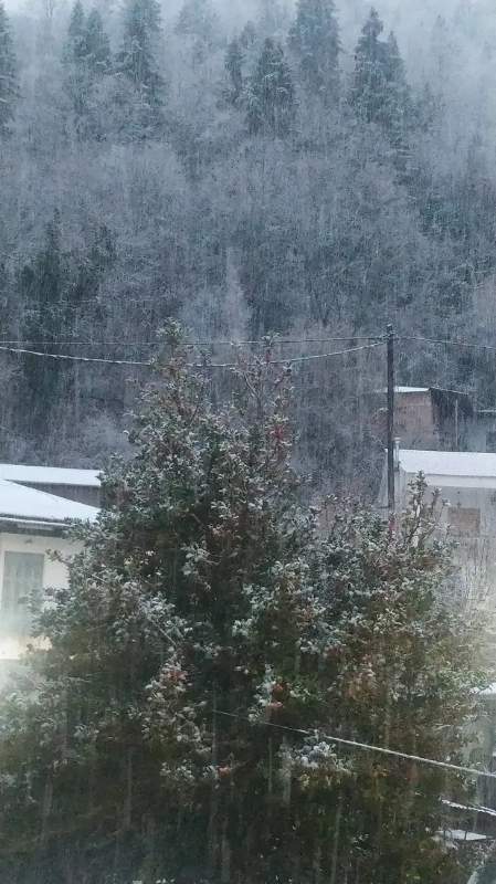 img_1_1769926952711.jpg